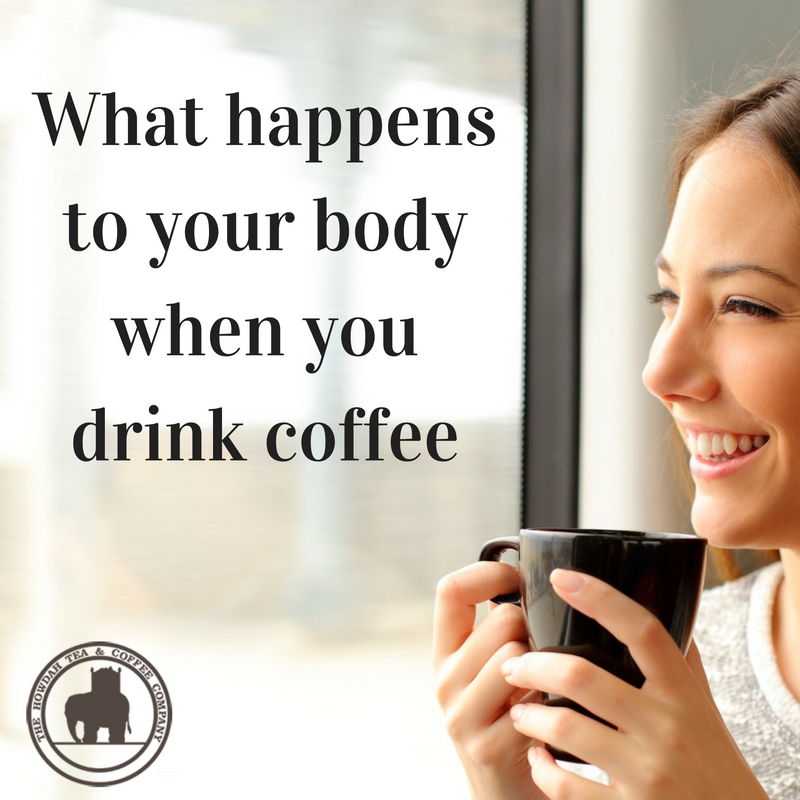 What happens to your body when you drink coffee